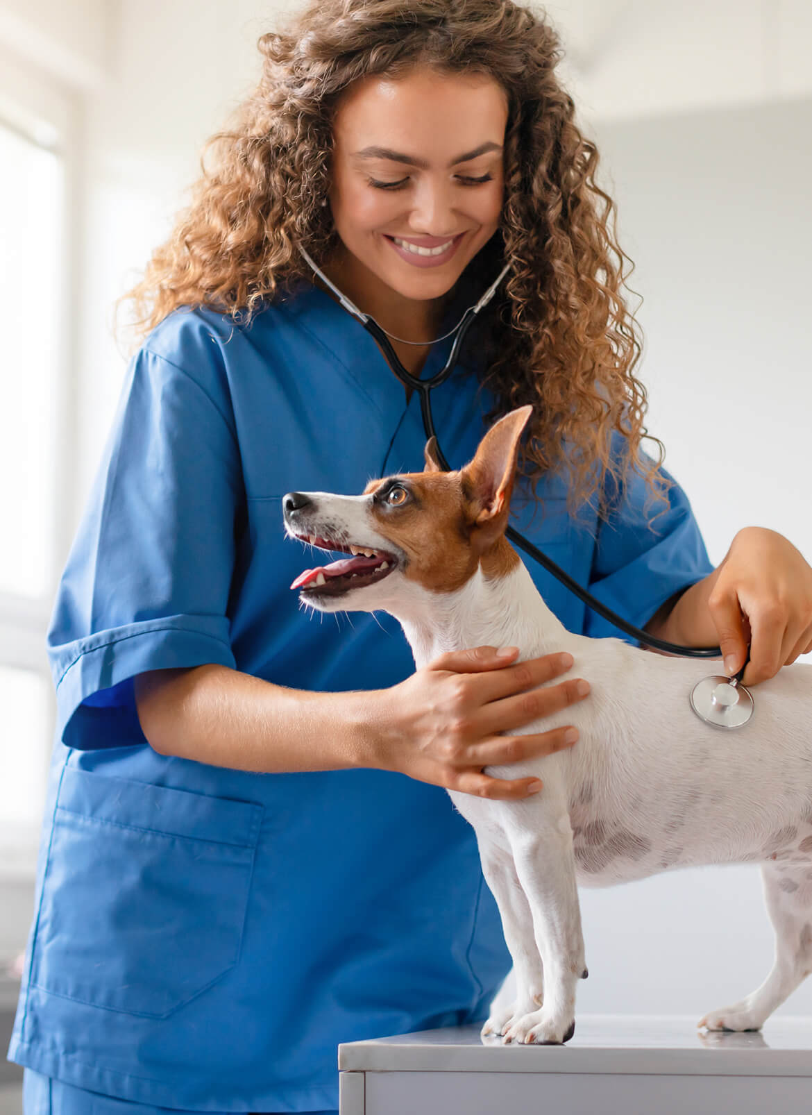 Veterinaire et un chien